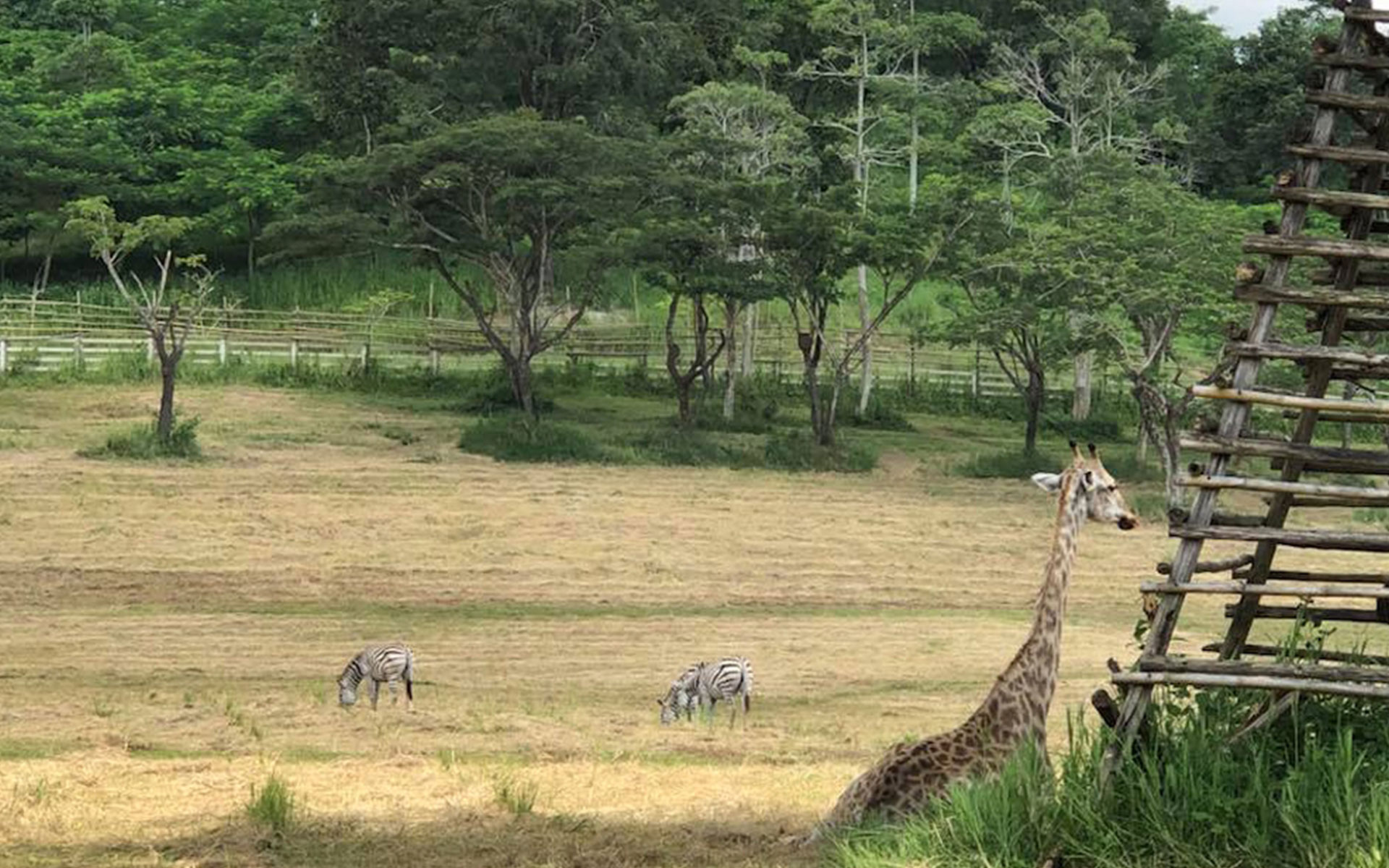 Chiang Rai - Unique check-in destination in Thailand12