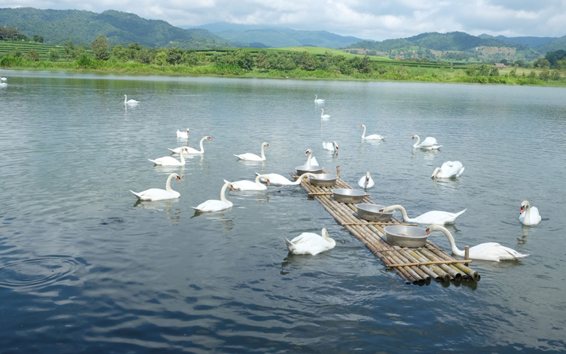 Chiang Rai - Unique check-in destination in Thailand13